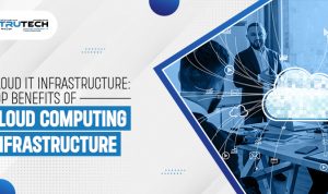 The Role of Hardware in Cloud Computing Infrastructure Unleashed