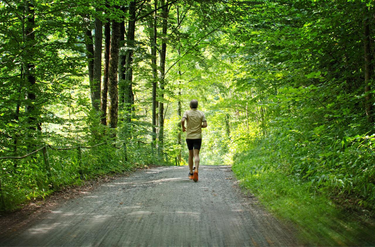 Jogger Man Running In the Forest - High Quality Free Stock Images Running Promotions and Giveaways for Accessories