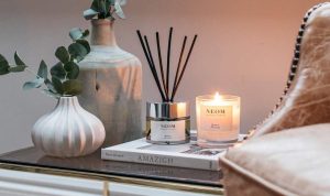 Popular Online Stores for Wellness and Daily Essentials