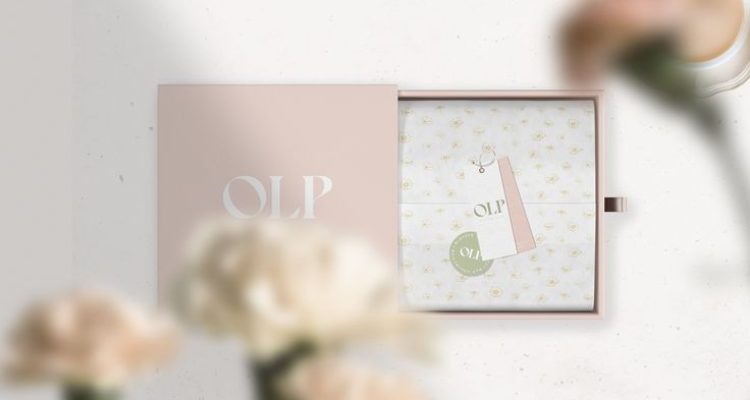 Packaging Ideas for Luxury Accessories